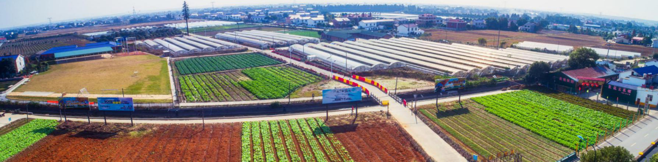 長沙研學旅行基地 長沙研學旅行基地