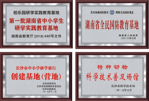 雷鋒研學(xué)基地