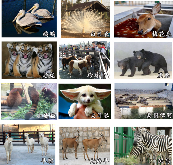 長沙研學(xué)旅行基地--雷鋒研學(xué)基地