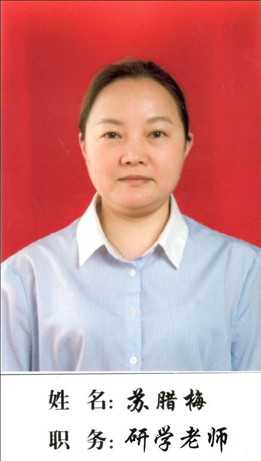 團(tuán)隊(duì)師資—湖南研學(xué)旅行網(wǎng) 團(tuán)隊(duì)師資—湖南研學(xué)旅行網(wǎng)