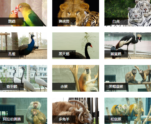 柏樂園研學(xué)旅行 柏樂園研學(xué)旅行