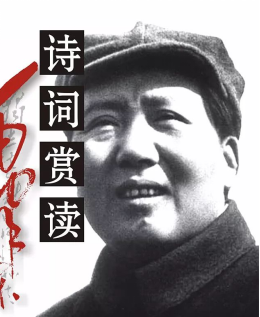 紅色研學旅行活動方案