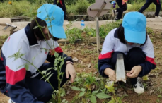 湖南韶山研學(xué)旅行 湖南韶山研學(xué)旅行
