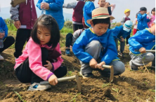 研學(xué)旅行方案設(shè)計