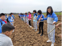 研學(xué)旅行活動方案設(shè)計