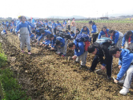 紅色研學(xué)旅行活動方案 紅色研學(xué)旅行活動方案