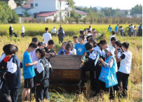 小學(xué)研學(xué)旅行活動方案設(shè)計