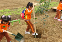 研學(xué)旅行方案設(shè)計