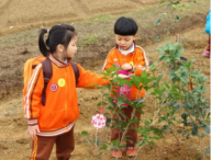 研學(xué)旅行活動方案設(shè)計