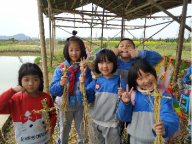 小學(xué)研學(xué)旅行活動方案設(shè)計